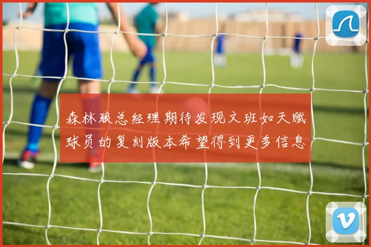 森林狼总经理期待发现文班如天赋球员的复刻版本希望得到更多信息