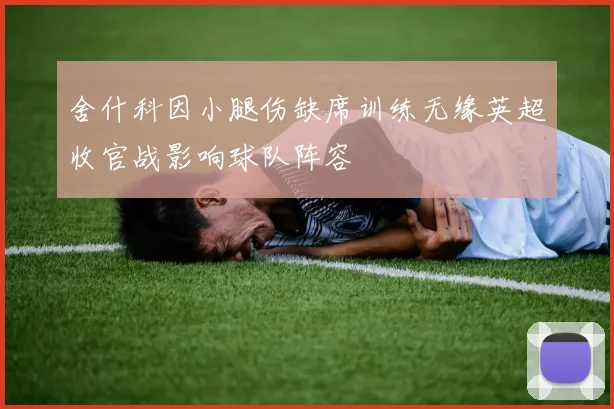 舍什科因小腿伤缺席训练无缘英超收官战影响球队阵容
